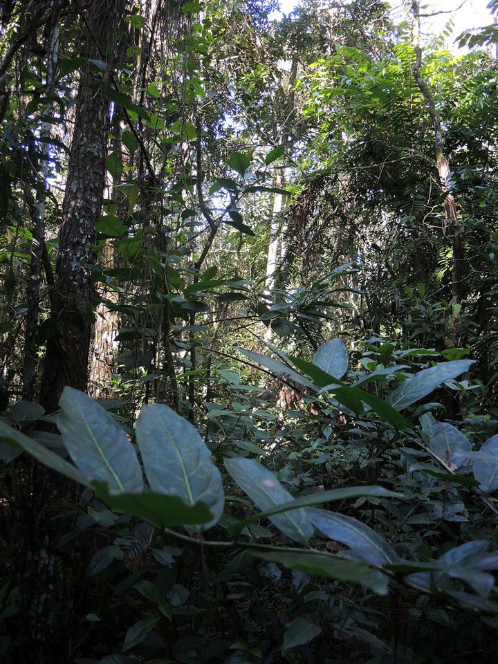 DSCN5304_rid