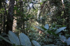 DSCN5304_rid
