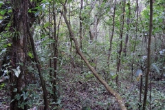 DSCN7143_rid