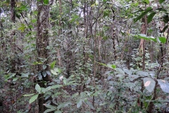 DSCN7144_rid