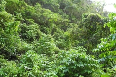 DSCN0461_rid