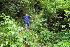 DSCN0466_rid
