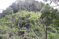 DSCN0472_rid