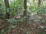 Puerto Chiquito