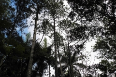 DSCN4026_rid